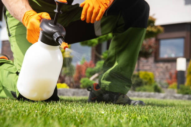 Best Spider Control Near Me  in Inverness, IL