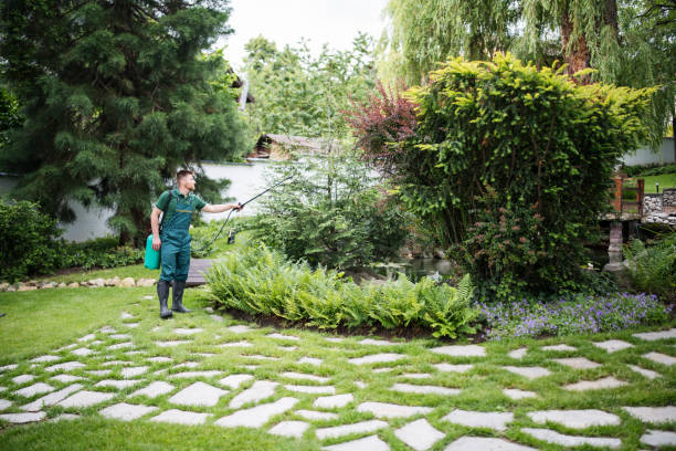 Best Affordable Pest Control Services  in Inverness, IL