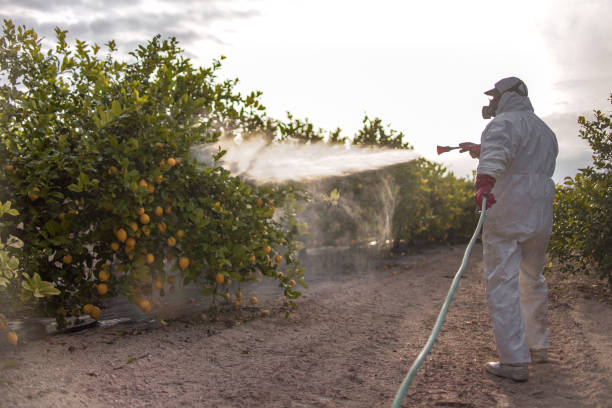 Best Best Pest Control Companies  in Inverness, IL