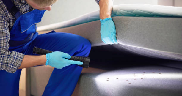 Best Local Pest Control Services  in Inverness, IL
