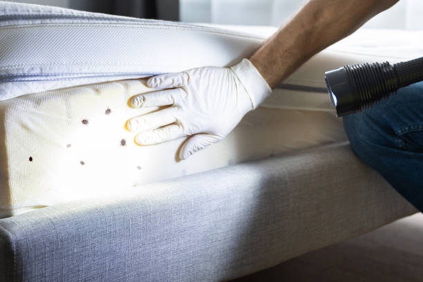 Best Best Pest Control Companies  in Inverness, IL