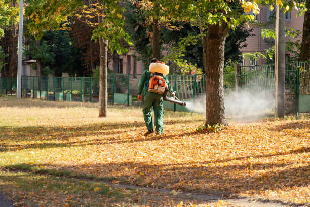 Best Pest Control Treatment  in Inverness, IL