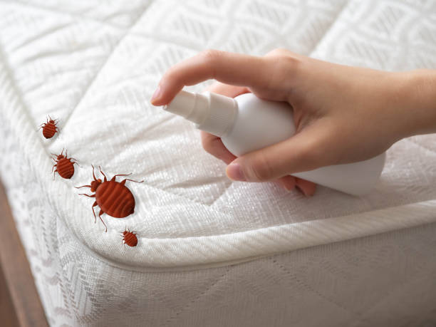 Best Pest Removal Services  in Inverness, IL