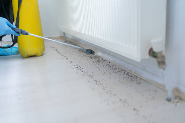 Best Emergency Pest Control  in Inverness, IL