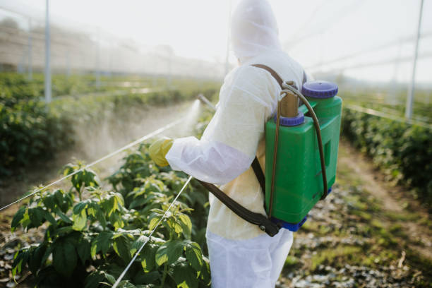 Best Ant Control Services  in Inverness, IL